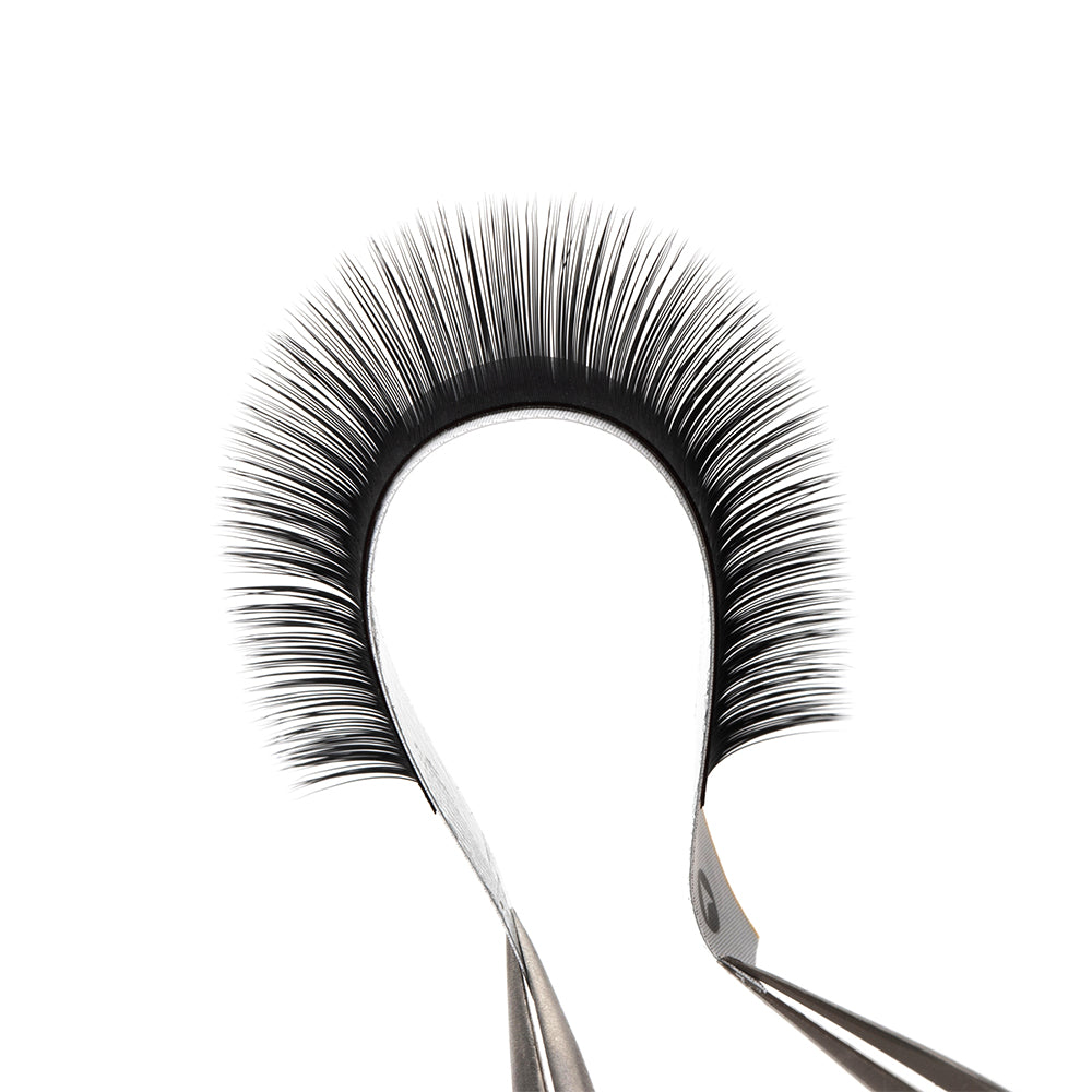 Classic Lashes Tray