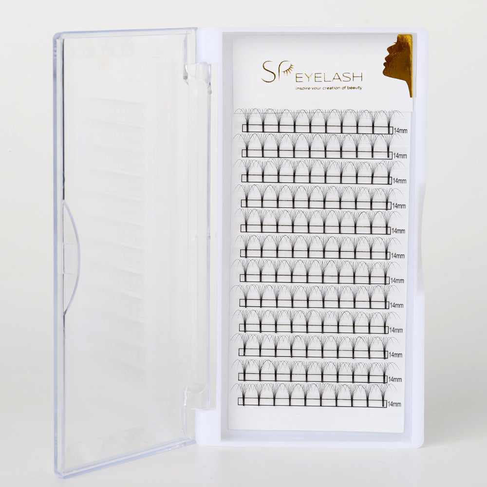 Premade Long Stem Fan Lashes 6D