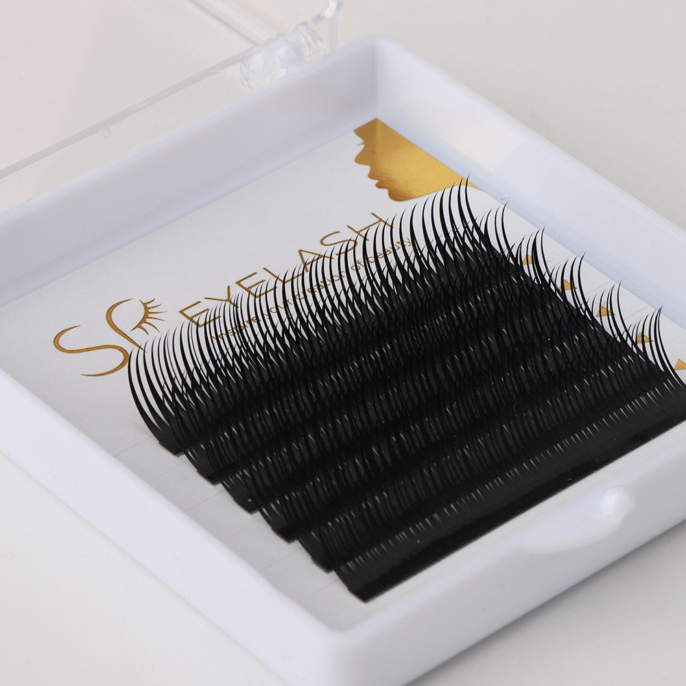 Wet Eyelash Extensions