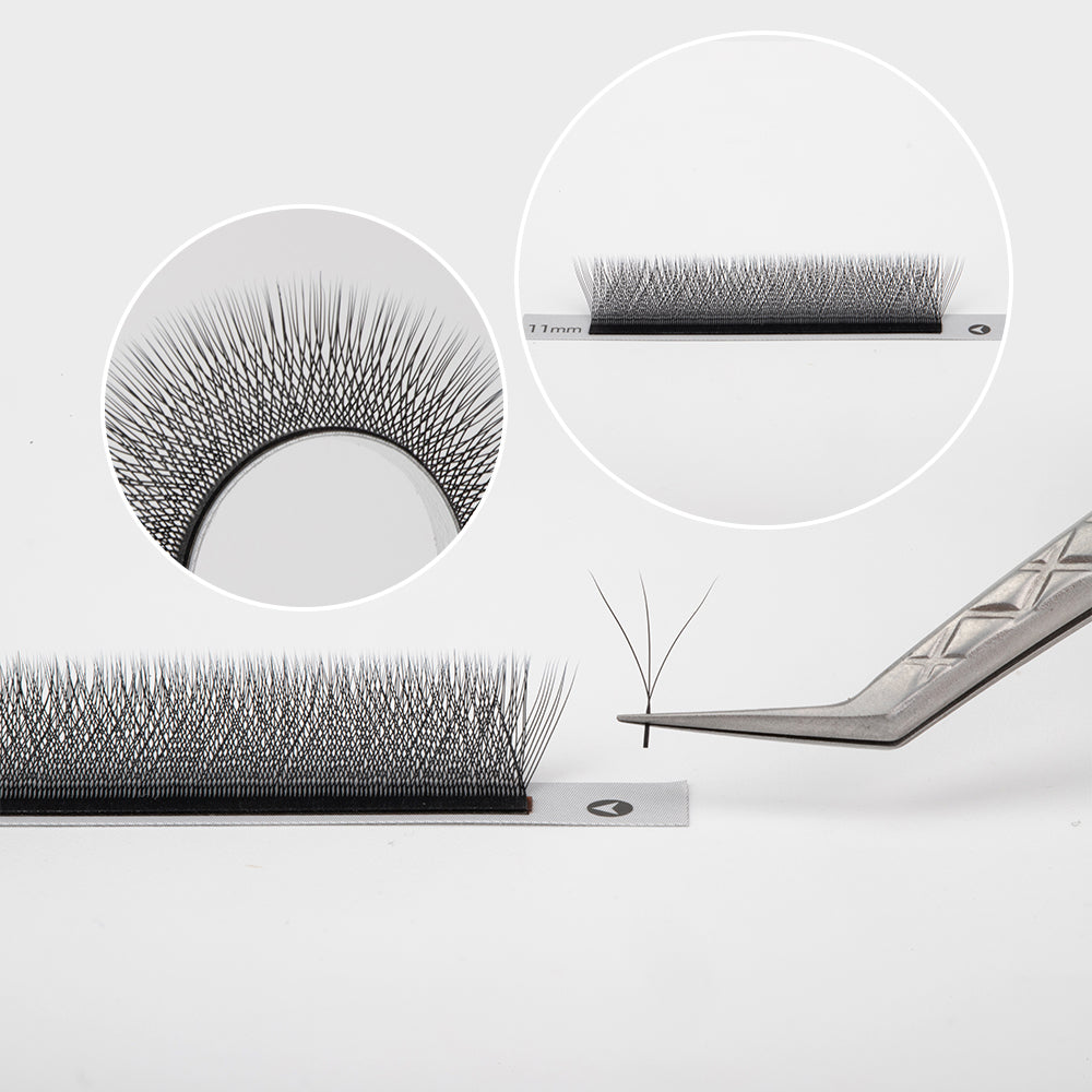 5DW Lashes