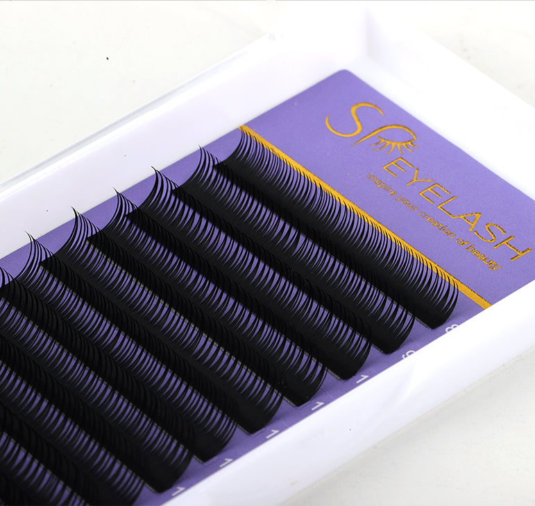 Wet Eyelash Extensions