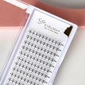 Promade Pointy Base Fan Lashes 6D