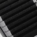 Genetic Flat Eyelash Extensions