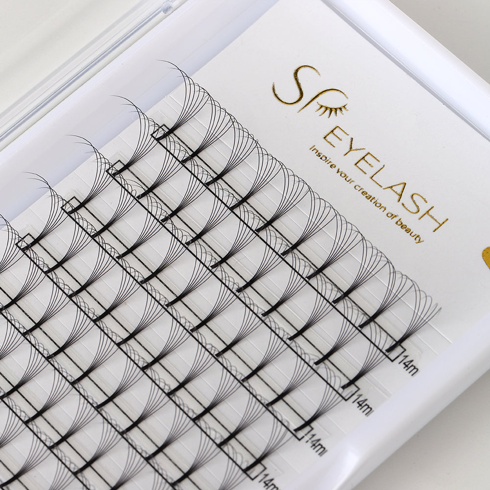 Premade Long Stem Fan Lashes 6D