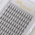 Premade Long Stem Fan Lashes 9D