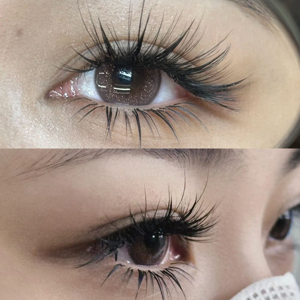 Camellia Eyelash Extensions-4D