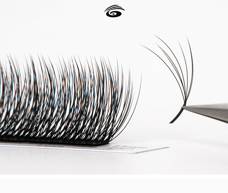 Camellia Eyelash Extensions-Various Curvatures