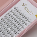 Wispy Promade Fan Lashes-5D