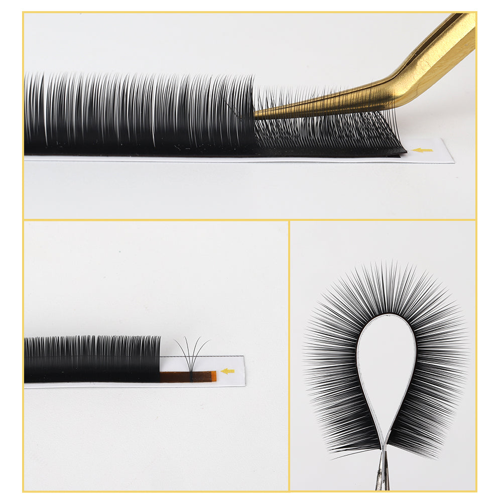 Camellia Eyelash Extensions-Various Curvatures