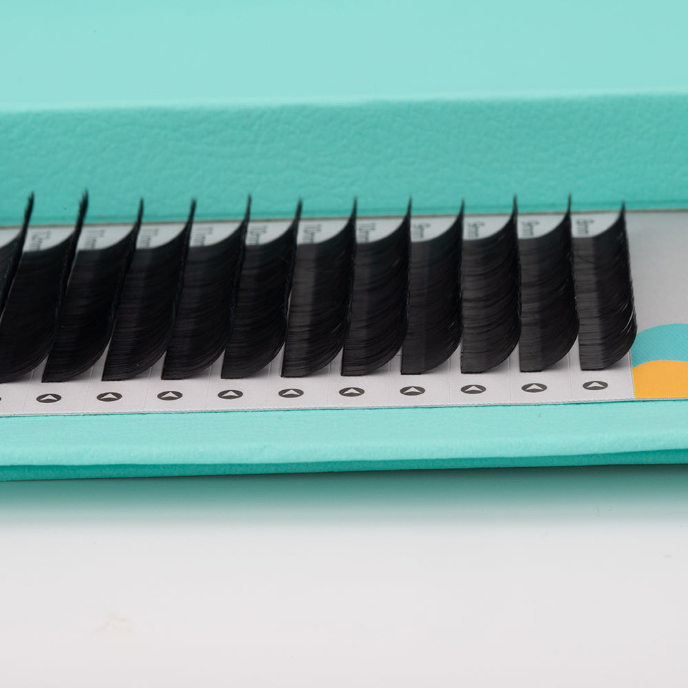 Classic Lashes Tray