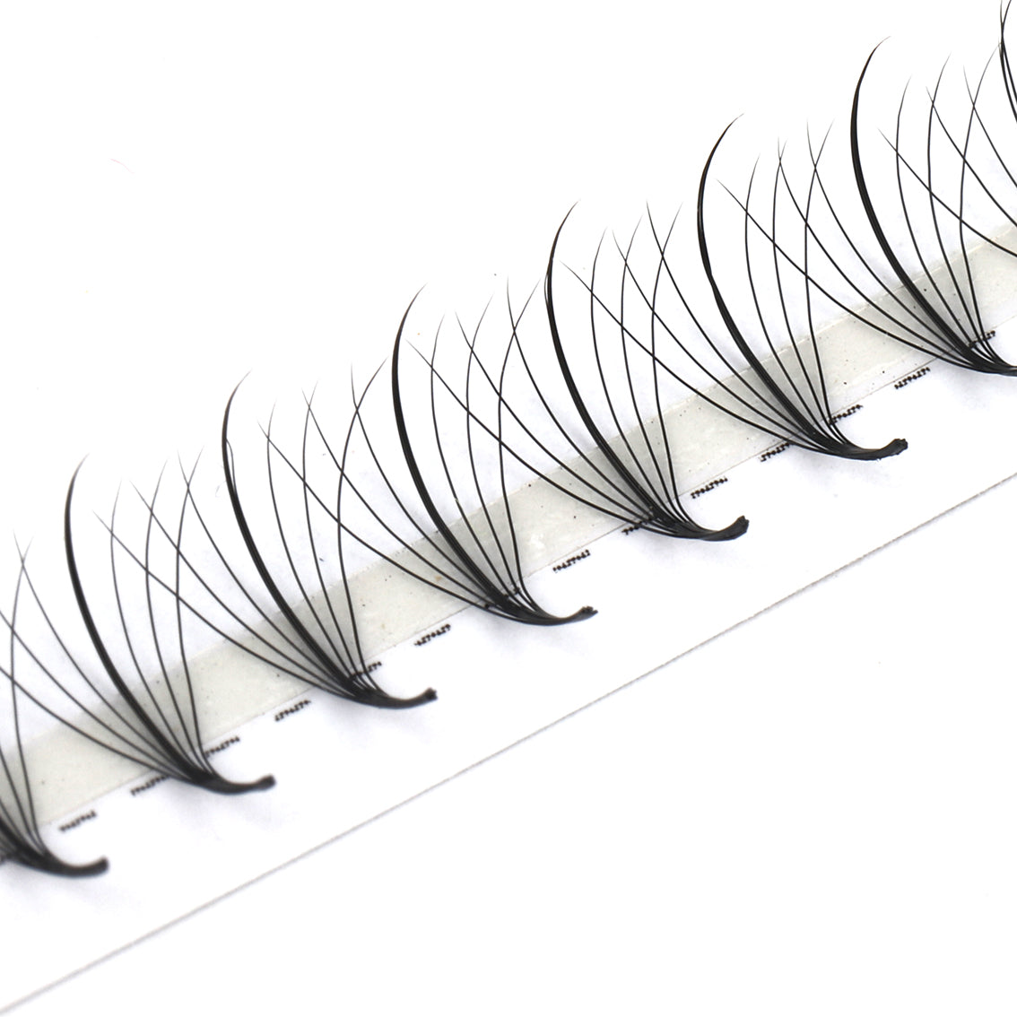 Wispy Promade Fan Lashes-7D