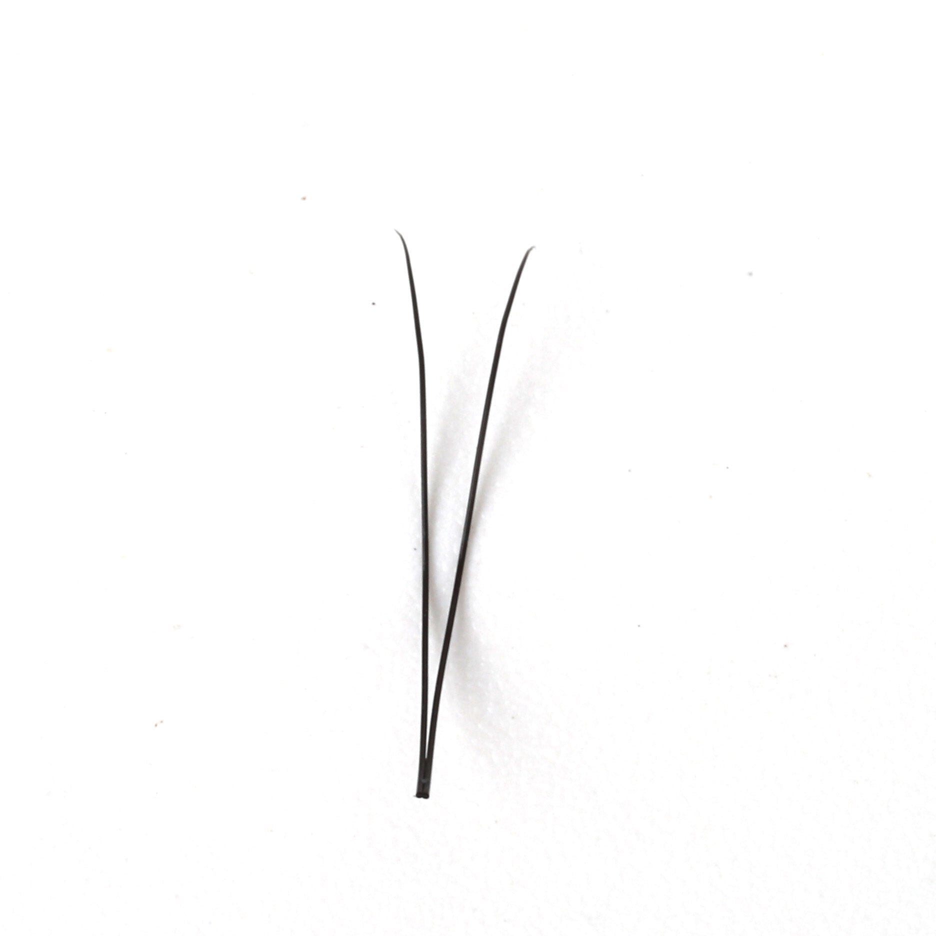 Premade Short Stem Fan Lashes 2D
