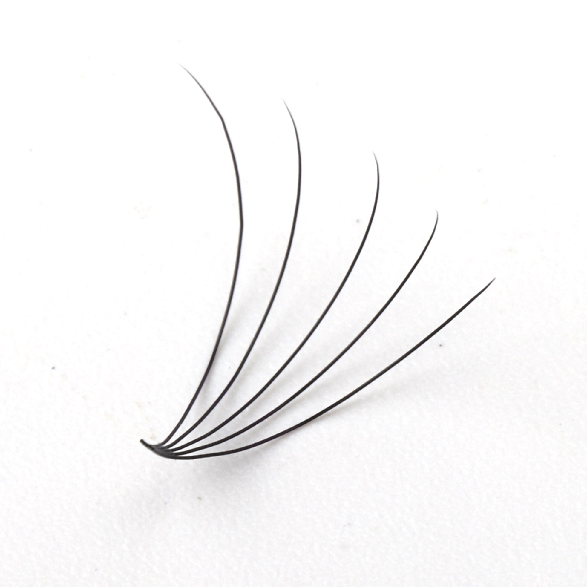 Premade Short Stem Fan Lashes 5D