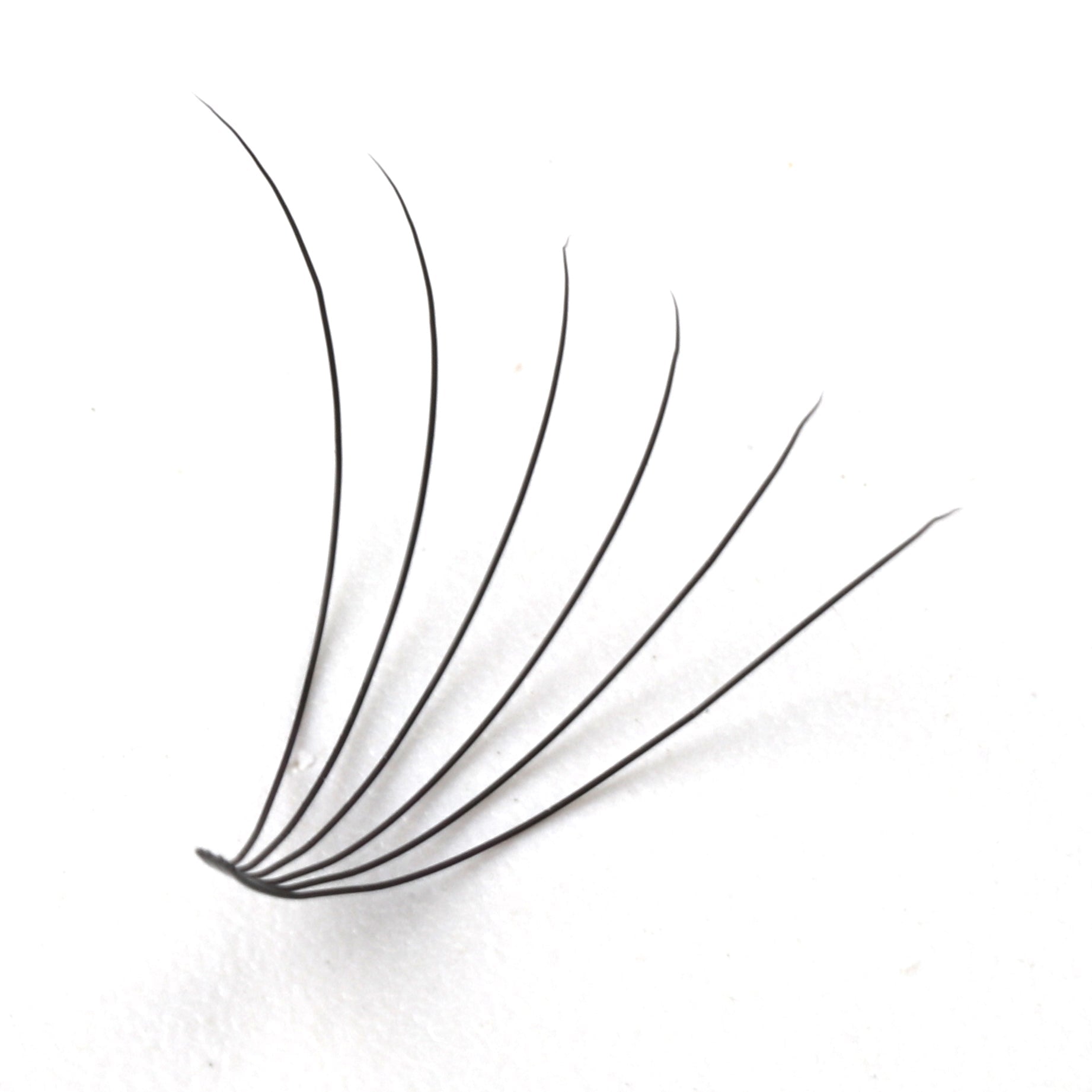 Premade Short Stem Fan Lashes 6D