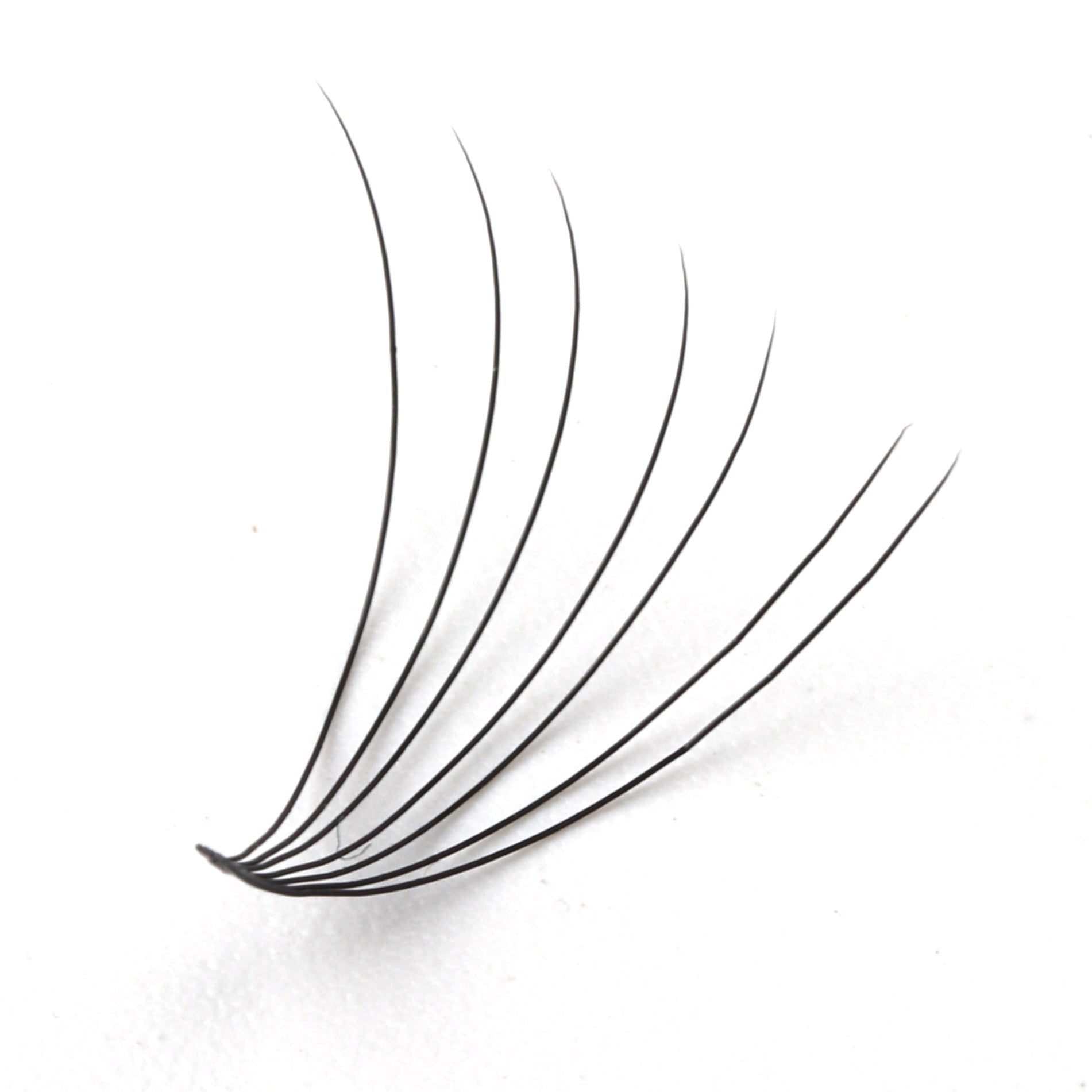 Premade Short Stem Fan Lashes 7D