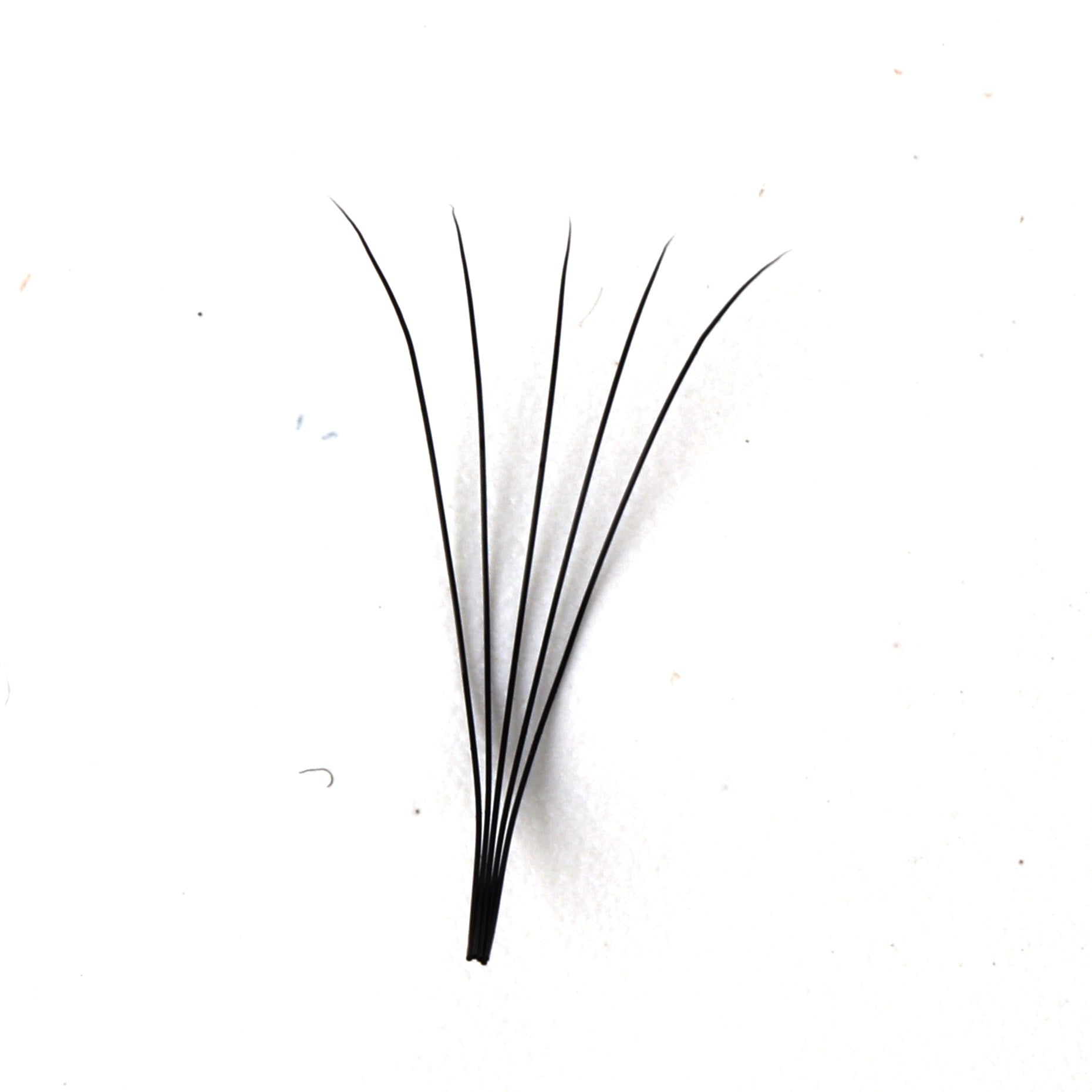 Premade Long Stem Fan Lashes 5D
