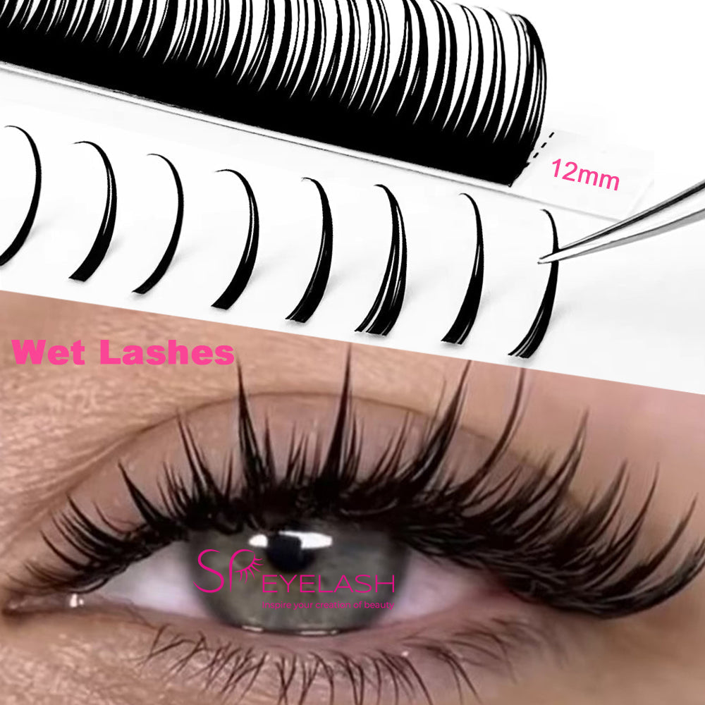Wet Eyelash Extensions