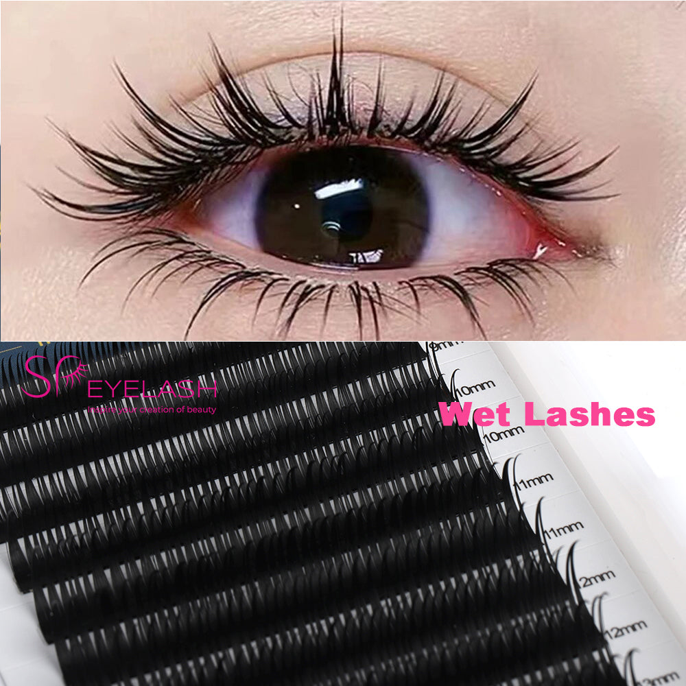 Wet Eyelash Extensions