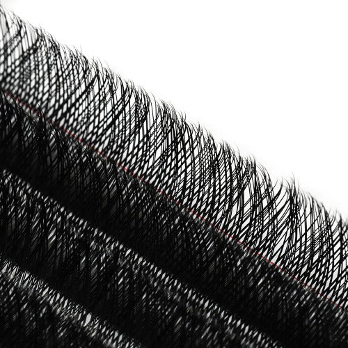 YY Lash Extensions With Private Label