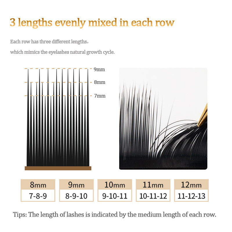 Camellia Eyelash Extensions