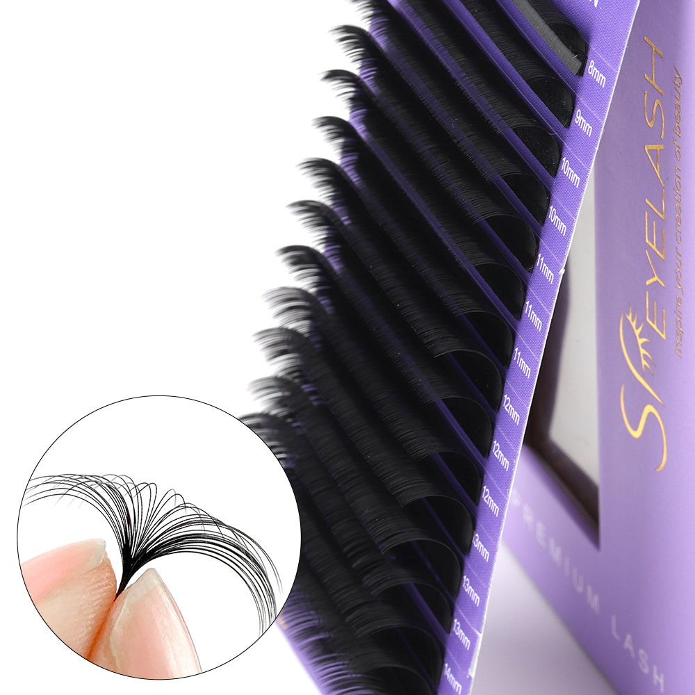 MIYE Eyelash Extensions