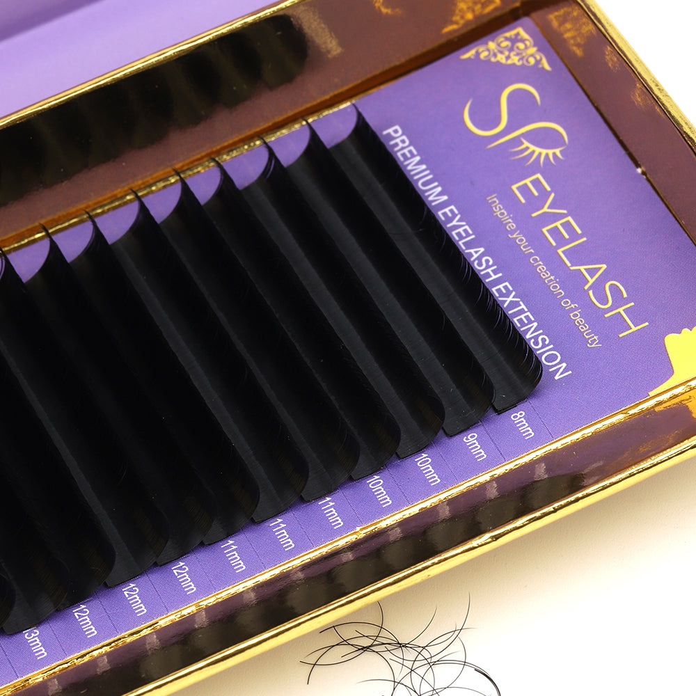 MIYE Eyelash Extensions