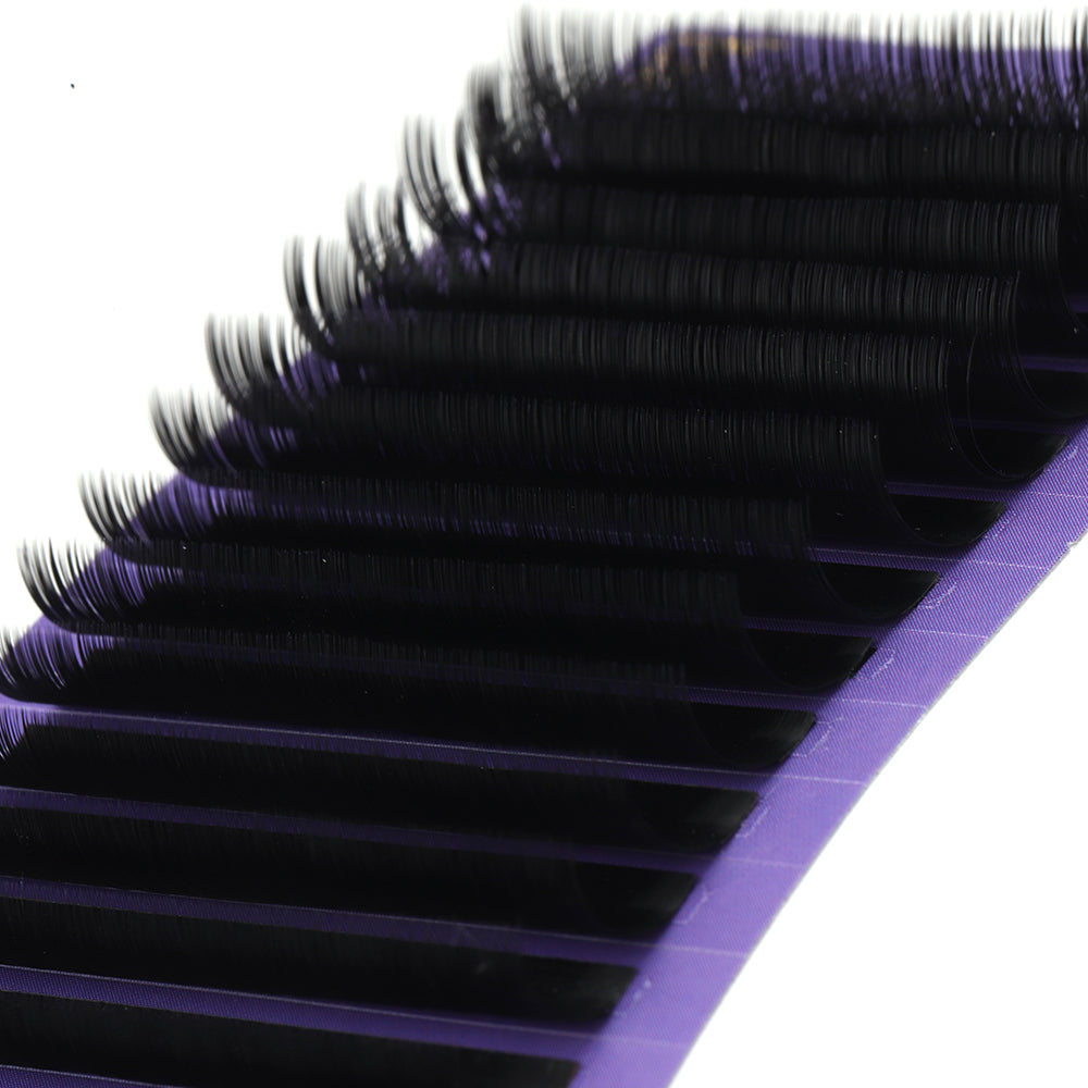 MIYE Eyelash Extensions